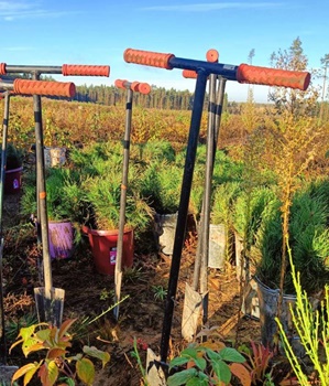 Сегодня в Беларуси пройдет Республиканский субботник