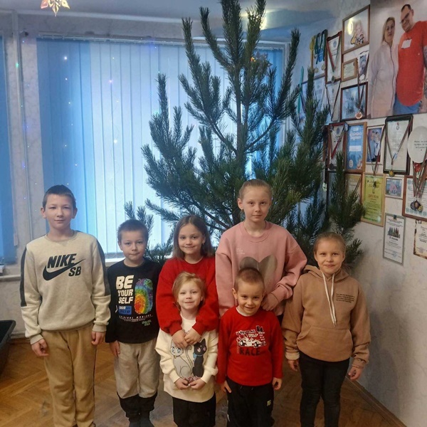 Почти тысяча новогодних деревьев – в подарок