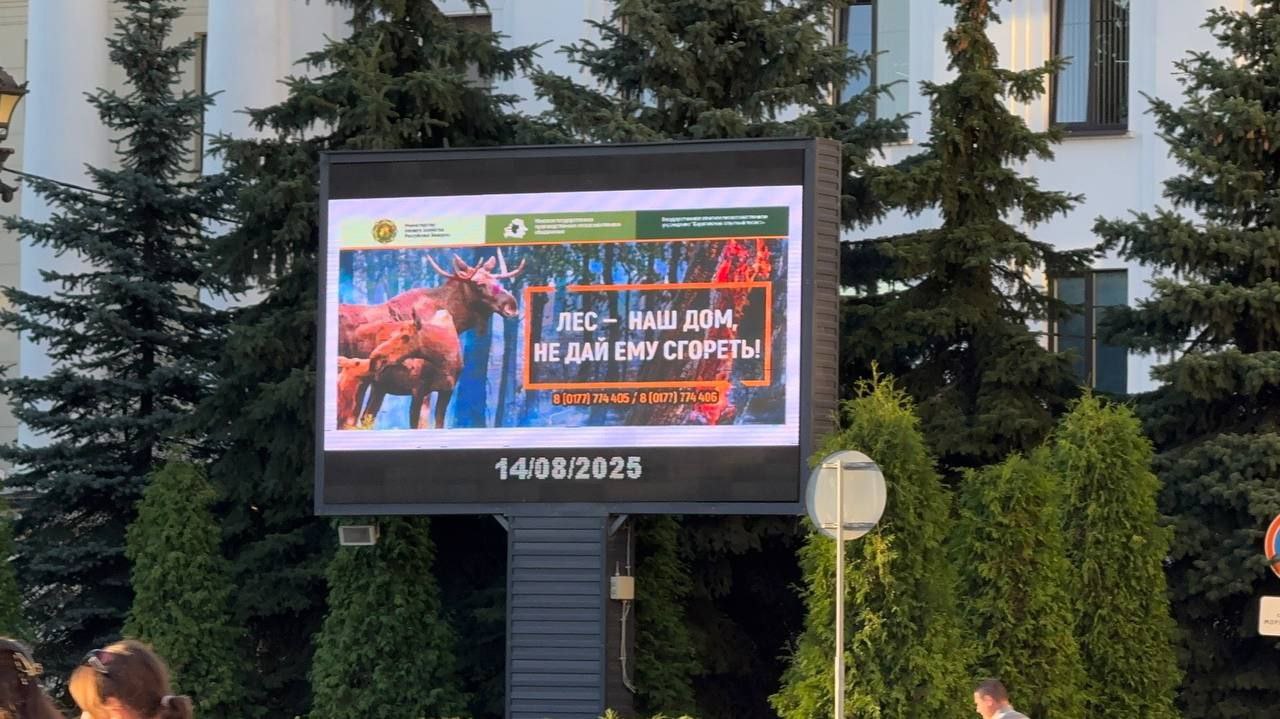 Социальная реклама в районных центрах и транспорте: вместе сохраним наши леса!