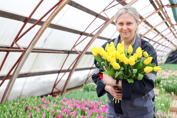  Борисовском опытном лесхозе к 8 Марта высадили около 70 тысяч тюльпанов