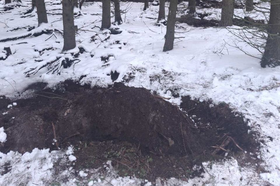 Первый лесной пожар в 2026 году ликвидирован в Копыльском опытном лесхозе