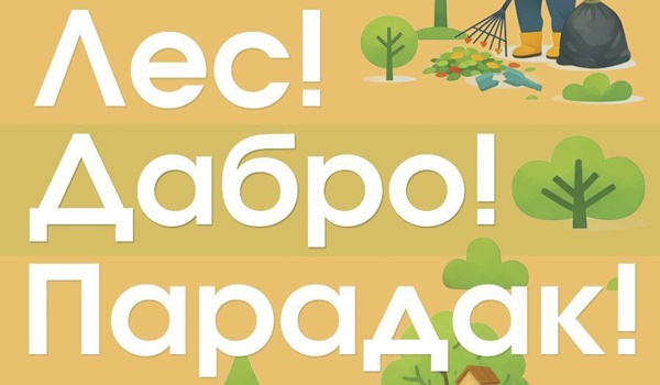 'Лес! Дабро! Парадак!'. Приглашаем провести весну с пользой для леса