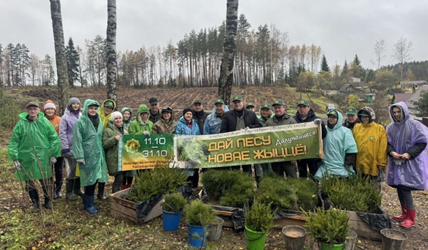 В день республиканского субботника  работники Минского ГПЛХО трудились в  Колодищанском лесничестве Боровлянского спецлесхоза.