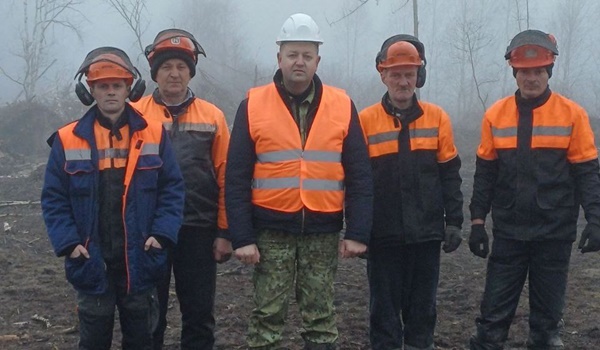 Работы по разработке ветровально-буреломных лесосек Гомельщины продолжаются ежедневно
