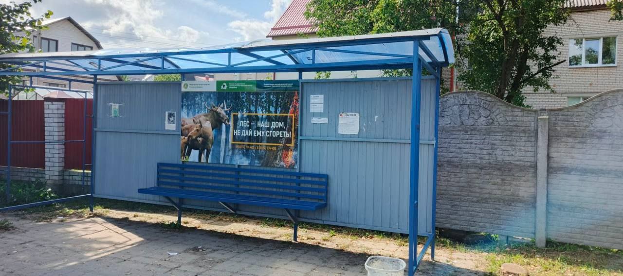 Лесхозы Минщины напоминают о бережном отношении к лесу