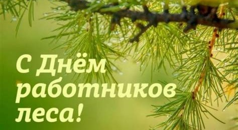 Поздравление Генерального директора ГПЛХО С ДНЕМ РАБОТНИКОВ ЛЕСА!