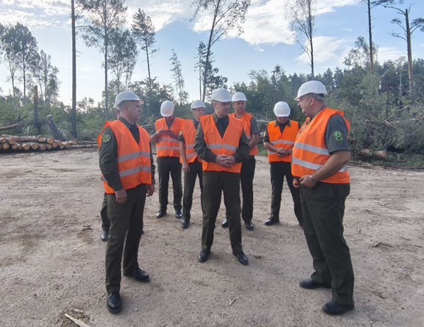 Глава лесной отрасли сегодня работает на Минщине