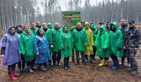 Посадка леса работниками Минского ГПЛХО продолжалась даже в дождливую погоду