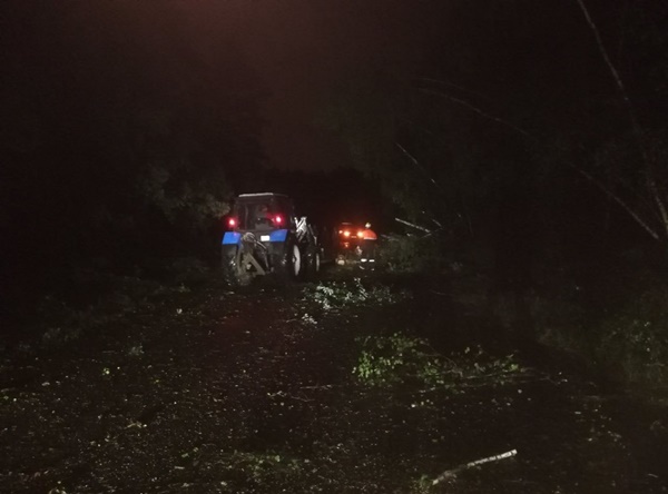 Последствия грозового фронта в Колодищах