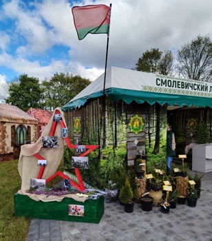 Представители Минского ГПЛХО, Борисовского опытного, Крупского и Смолевичского лесхозов возложили цветы к Вечному огню