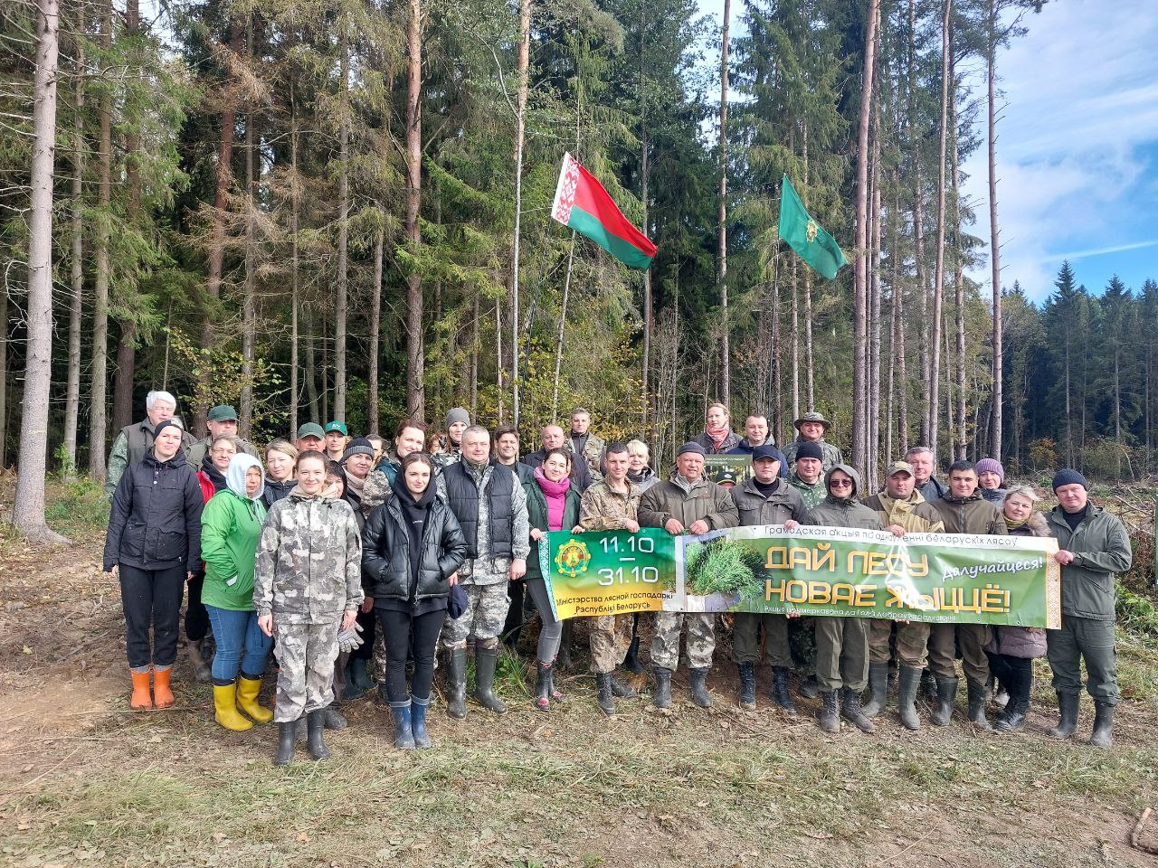 Минское ГПЛХО и Минлесхоз совместно создали новые лесные культуры